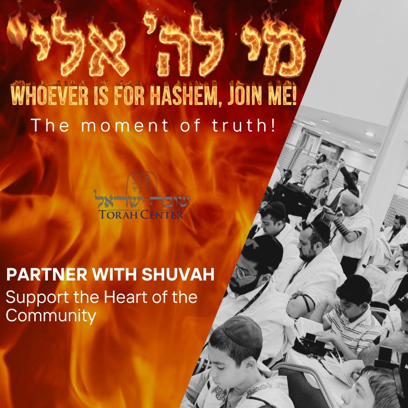 WhatsApp Image 2025-12-31 at 02.37.24